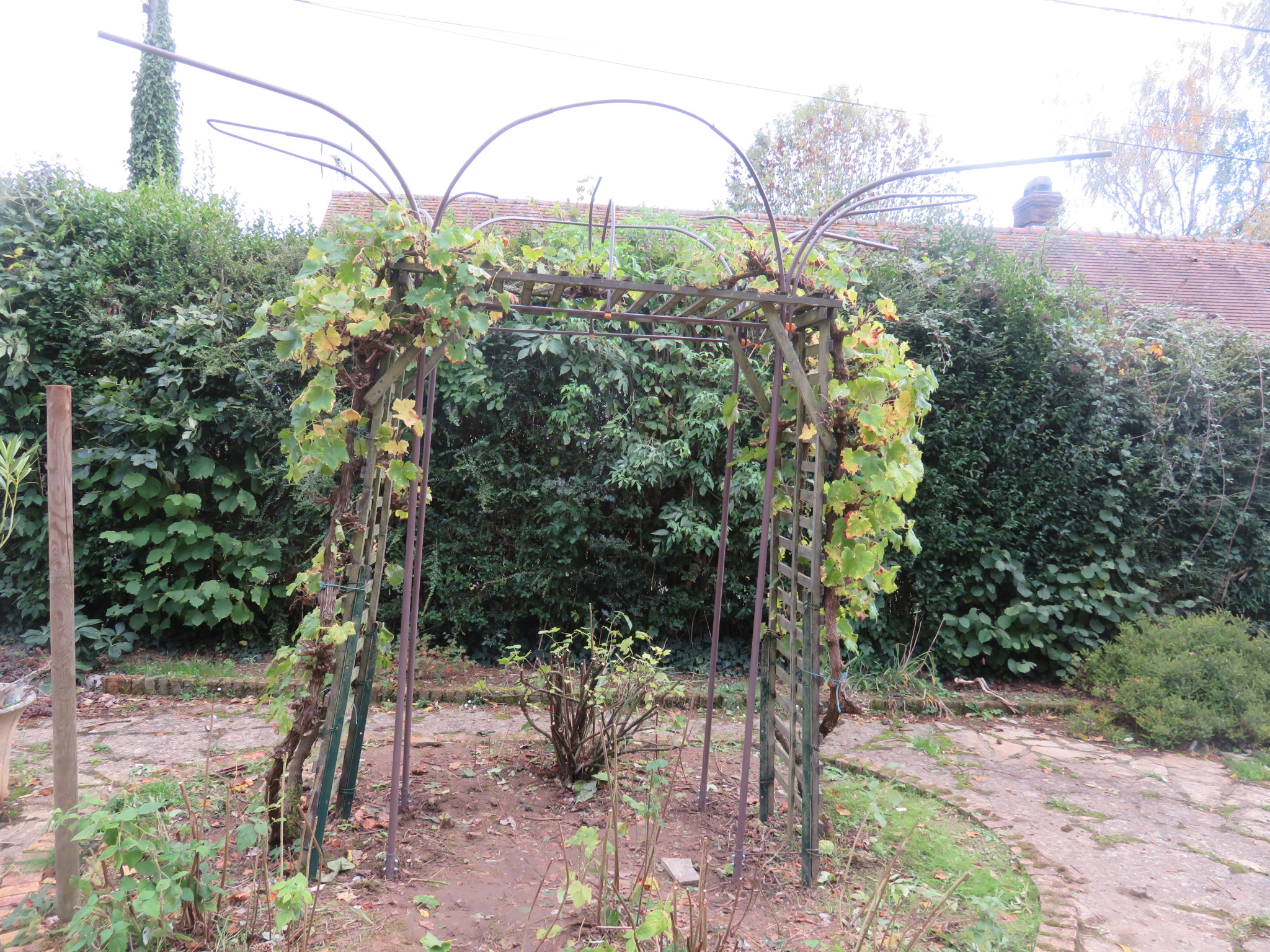 Assemblage des arceaux